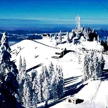 Leyla Castel Brasov