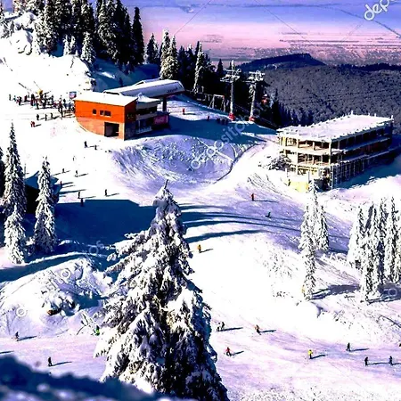 Leyla Castel Guest house