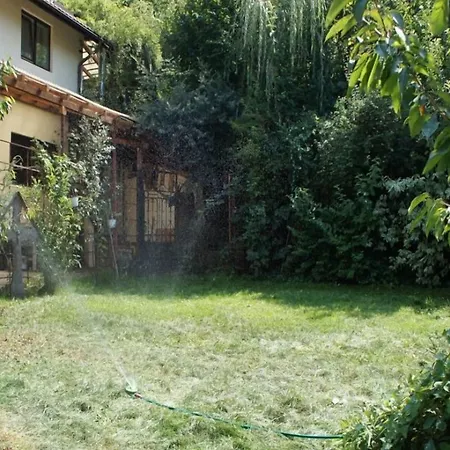 Guest house Leyla Castel Brasov