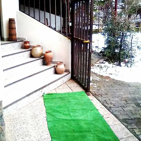 Guest house Leyla Castel Brasov