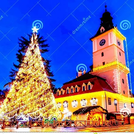 Guest house Leyla Castel Brasov