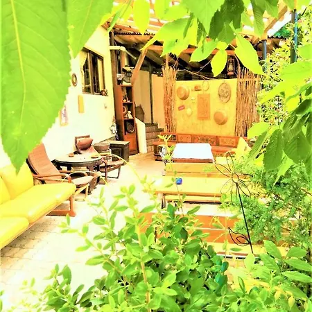 Guest house Leyla Castel 2*