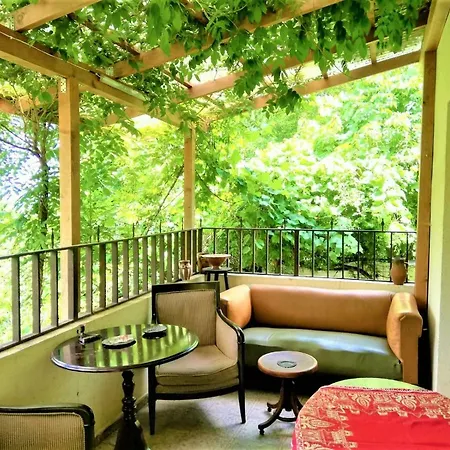 Leyla Castel Guest house Brasov
