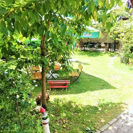 Leyla Castel Guest house Brasov
