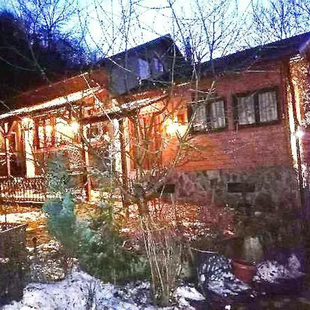 Leyla Castel Brasov