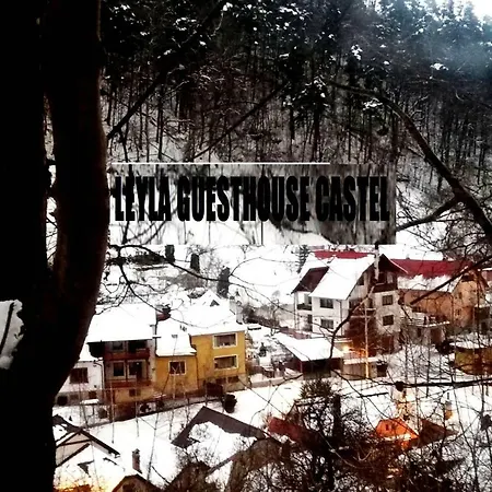 Leyla Castel Brasov