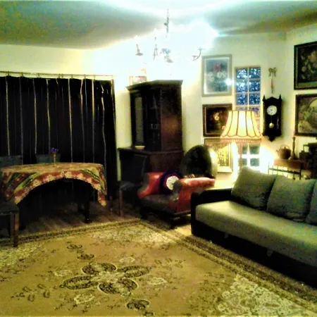 Leyla Castel 2* Brasov