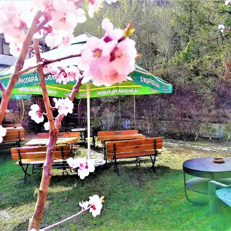 Leyla Castel Guest house 2*