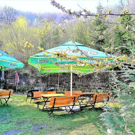 Affittacamere Leyla Castel 2*