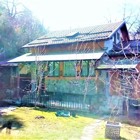 Leyla Castel Guest house Brasov