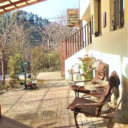 Guest house Leyla Castel Brasov