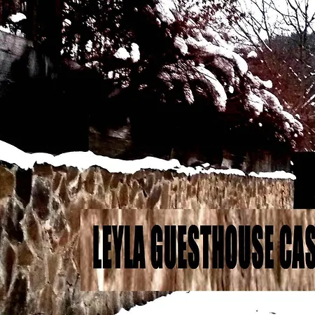 Leyla Castel