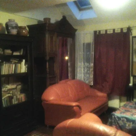 Guest house Leyla Castel Brasov